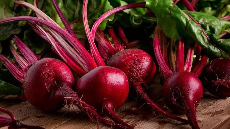 Red root plant — key botanical in the Red Root Method for visual support after 50